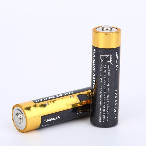Double AA Batteries | Set of 2 Shenzhen Dali Technology Co. Ltd