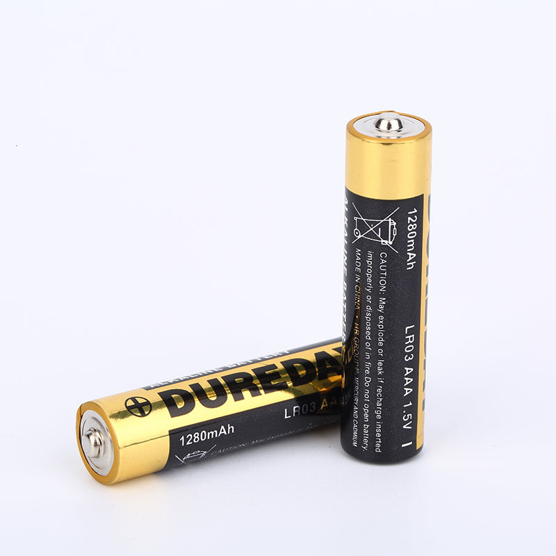 Triple AAA Batteries | Set of 2 Shenzhen Dali Technology Co. Ltd